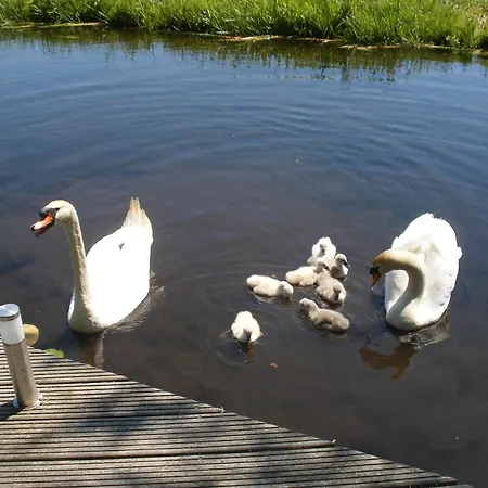 Alojamento de Acomodação e Pequeno-almoço B&b-edam *