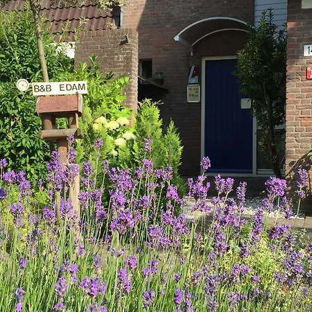 B&b-edam *