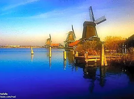 B&b-edam Edam