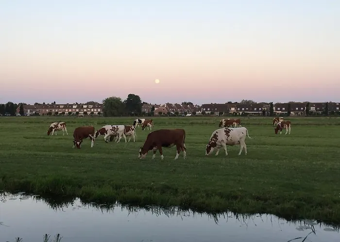 לינה וארוחת בוקר B&b-edam *