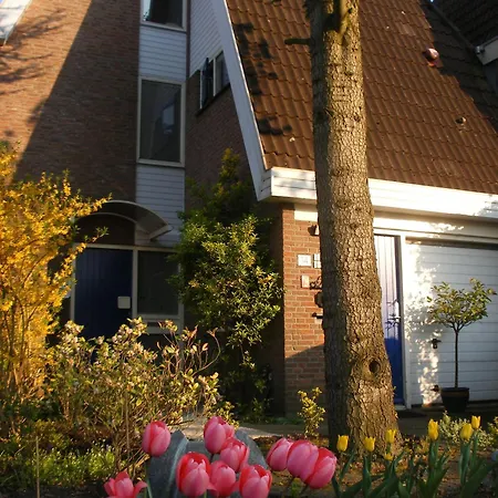 B&b-edam Edam