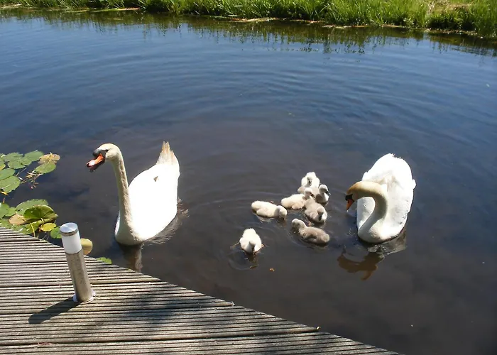 לינה וארוחת בוקר B&b-edam *